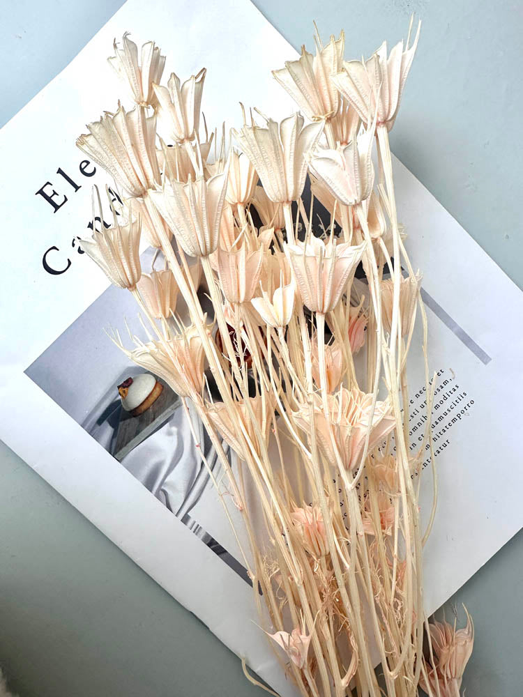 Star anise bleached dried flower, wedding decoration, home decoration, dried flower, flower arrangement, wedding flower. -PAMPAS grass wholesale and dried flowers wholesale near me