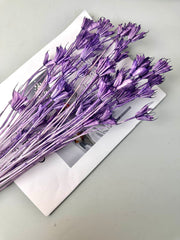 Star anise bleached dried flower, wedding decoration, home decoration, dried flower, flower arrangement, wedding flower. -PAMPAS grass wholesale and dried flowers wholesale near me