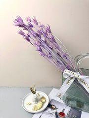 Star anise bleached dried flower, wedding decoration, home decoration, dried flower, flower arrangement, wedding flower. -PAMPAS grass wholesale and dried flowers wholesale near me