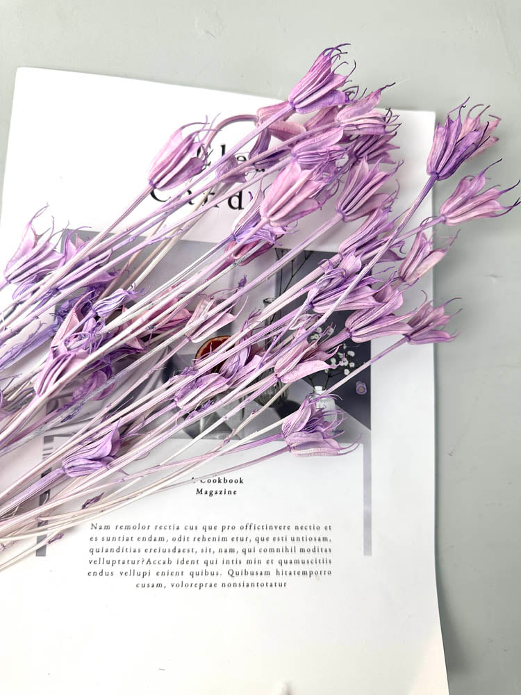 Star anise bleached dried flower, wedding decoration, home decoration, dried flower, flower arrangement, wedding flower. -PAMPAS grass wholesale and dried flowers wholesale near me