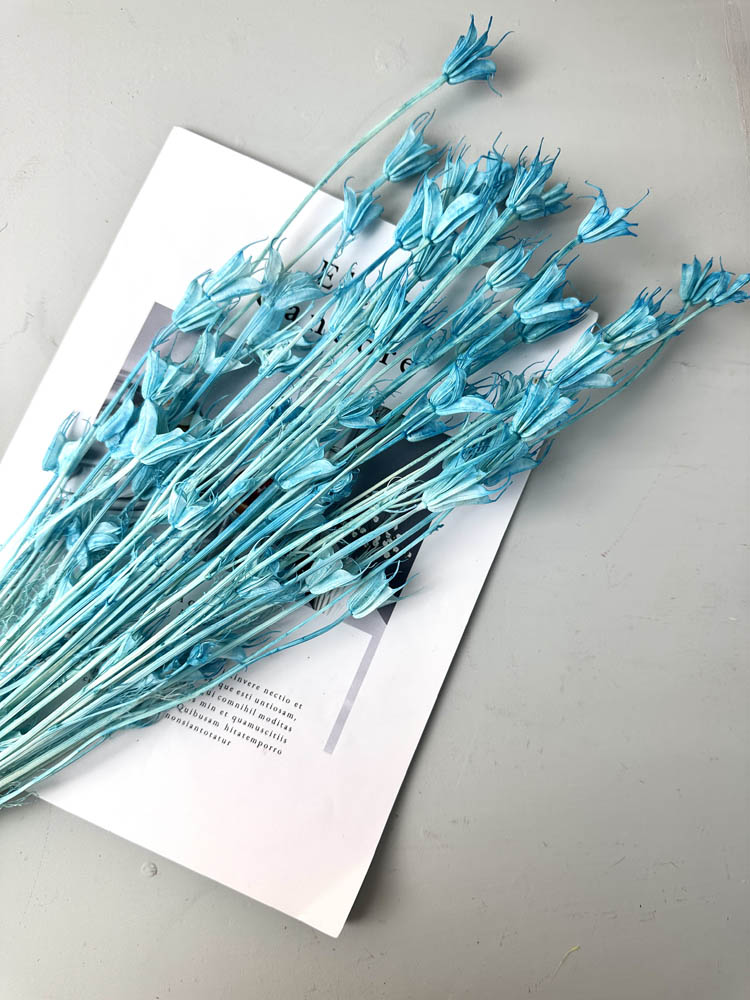Star anise bleached dried flower, wedding decoration, home decoration, dried flower, flower arrangement, wedding flower. -PAMPAS grass wholesale and dried flowers wholesale near me