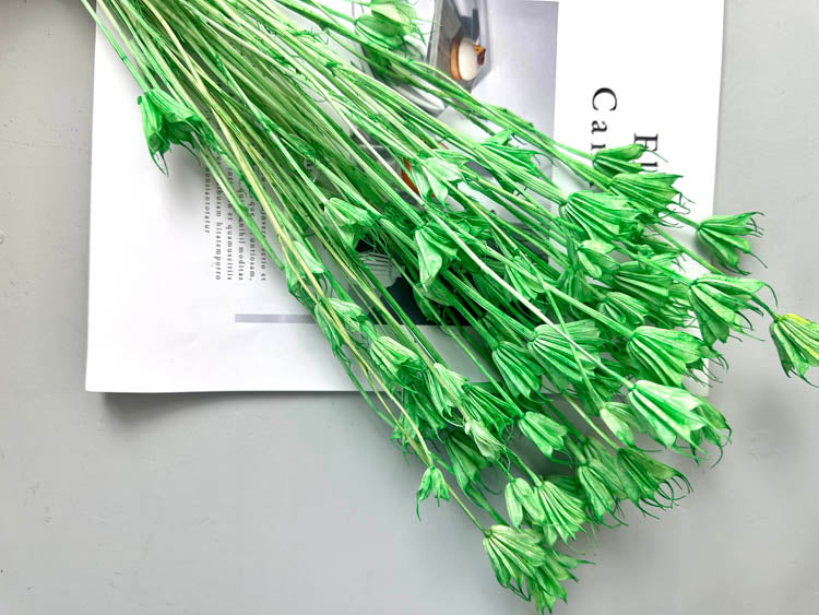 Star anise bleached dried flower, wedding decoration, home decoration, dried flower, flower arrangement, wedding flower. -PAMPAS grass wholesale and dried flowers wholesale near me