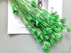 Star anise bleached dried flower, wedding decoration, home decoration, dried flower, flower arrangement, wedding flower. -PAMPAS grass wholesale and dried flowers wholesale near me