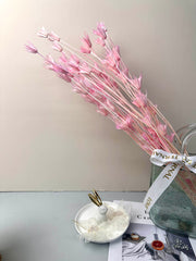 Star anise bleached dried flower, wedding decoration, home decoration, dried flower, flower arrangement, wedding flower. -PAMPAS grass wholesale and dried flowers wholesale near me