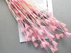 Star anise bleached dried flower, wedding decoration, home decoration, dried flower, flower arrangement, wedding flower. -PAMPAS grass wholesale and dried flowers wholesale near me