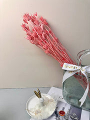 Star anise bleached dried flower, wedding decoration, home decoration, dried flower, flower arrangement, wedding flower. -PAMPAS grass wholesale and dried flowers wholesale near me