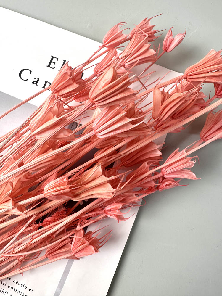 Star anise bleached dried flower, wedding decoration, home decoration, dried flower, flower arrangement, wedding flower. -PAMPAS grass wholesale and dried flowers wholesale near me