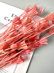 Star anise bleached dried flower, wedding decoration, home decoration, dried flower, flower arrangement, wedding flower. -PAMPAS grass wholesale and dried flowers wholesale near me