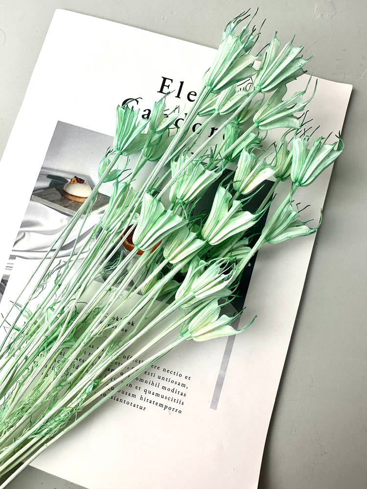 Star anise bleached dried flower, wedding decoration, home decoration, dried flower, flower arrangement, wedding flower. -PAMPAS grass wholesale and dried flowers wholesale near me