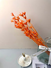 Star anise bleached dried flower, wedding decoration, home decoration, dried flower, flower arrangement, wedding flower. -PAMPAS grass wholesale and dried flowers wholesale near me