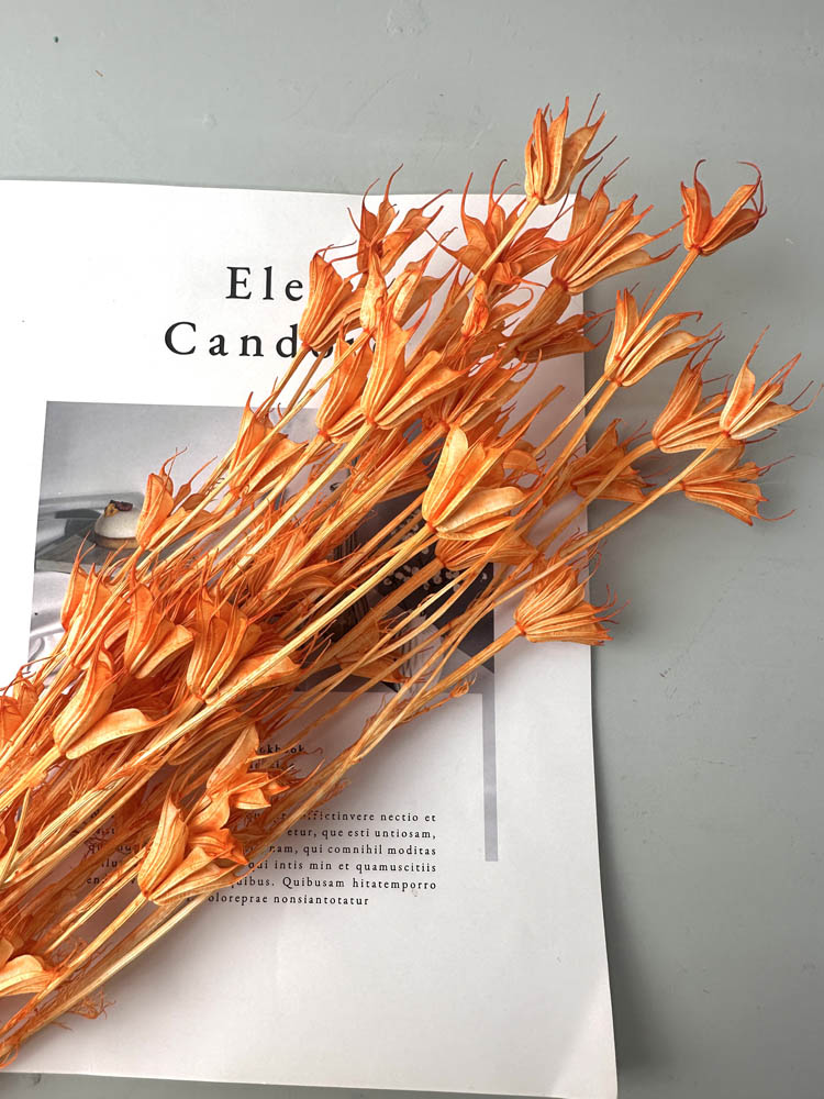 Star anise bleached dried flower, wedding decoration, home decoration, dried flower, flower arrangement, wedding flower. -PAMPAS grass wholesale and dried flowers wholesale near me