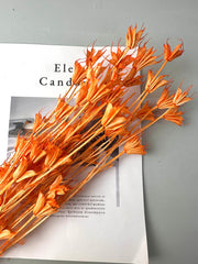Star anise bleached dried flower, wedding decoration, home decoration, dried flower, flower arrangement, wedding flower. -PAMPAS grass wholesale and dried flowers wholesale near me
