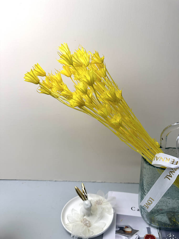 Star anise bleached dried flower, wedding decoration, home decoration, dried flower, flower arrangement, wedding flower. -PAMPAS grass wholesale and dried flowers wholesale near me