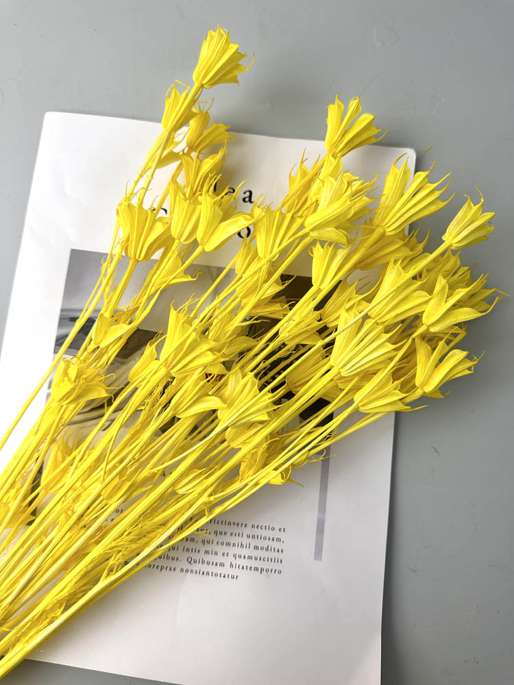 Star anise bleached dried flower, wedding decoration, home decoration, dried flower, flower arrangement, wedding flower. -PAMPAS grass wholesale and dried flowers wholesale near me