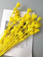Star anise bleached dried flower, wedding decoration, home decoration, dried flower, flower arrangement, wedding flower. -PAMPAS grass wholesale and dried flowers wholesale near me