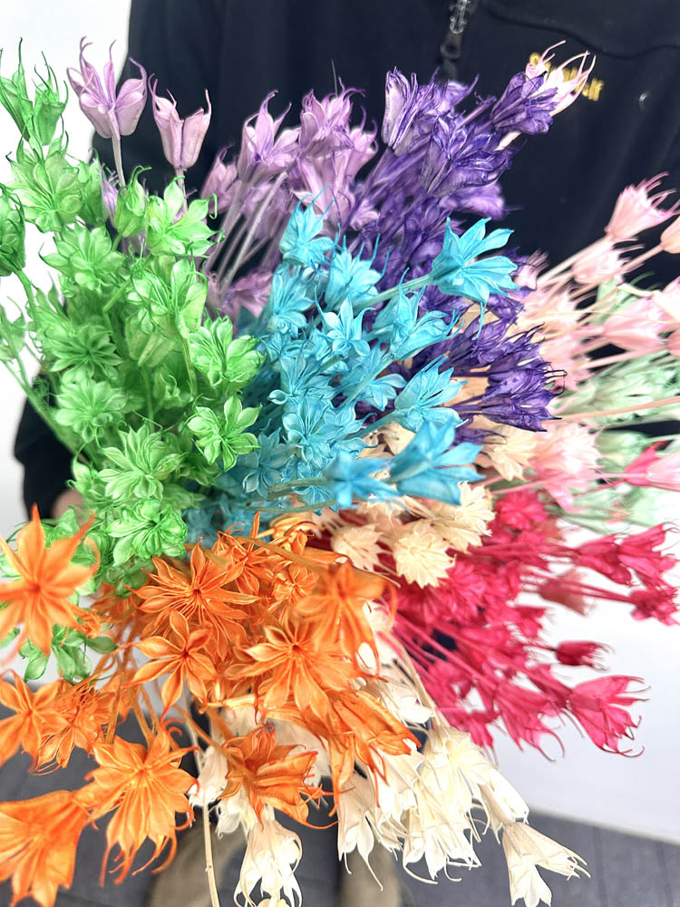 Star anise bleached dried flower, wedding decoration, home decoration, dried flower, flower arrangement, wedding flower. -PAMPAS grass wholesale and dried flowers wholesale near me