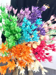 Star anise bleached dried flower, wedding decoration, home decoration, dried flower, flower arrangement, wedding flower. -PAMPAS grass wholesale and dried flowers wholesale near me