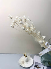 Star anise bleached dried flower, wedding decoration, home decoration, dried flower, flower arrangement, wedding flower. -PAMPAS grass wholesale and dried flowers wholesale near me