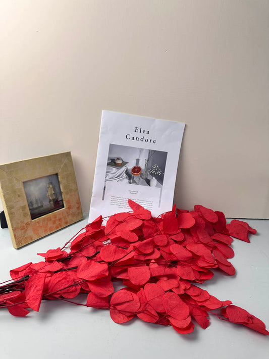 Immortal apple leaves, indoor flower arrangement, wedding leaves,natural grass. -PAMPAS grass wholesale and dried flowers wholesale near me