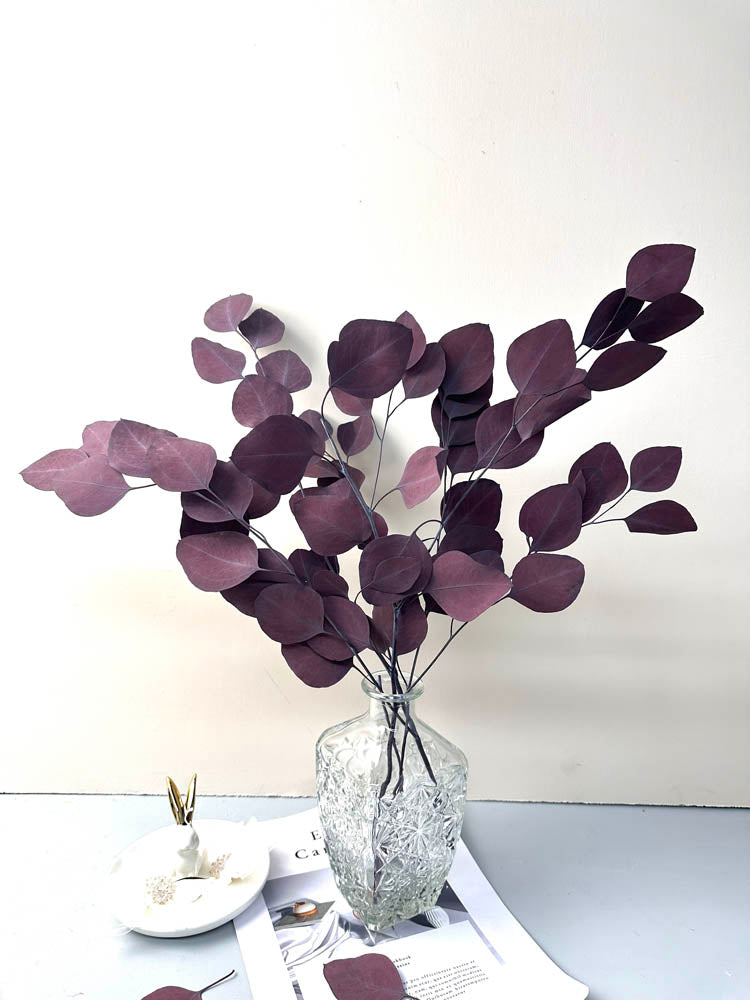 Immortal apple leaves, indoor flower arrangement, wedding flower, home decoration, wholesale dried flower, -PAMPAS grass wholesale and dried flowers wholesale near me