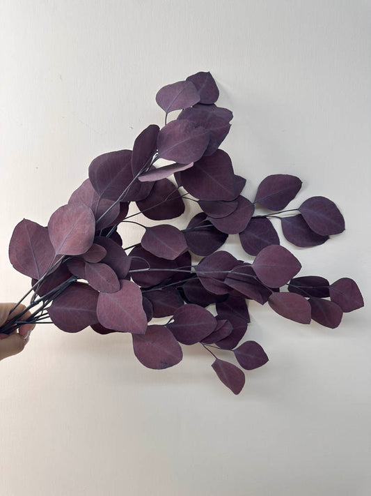 Immortal apple leaves, indoor flower arrangement, wedding flower, home decoration, wholesale dried flower, -PAMPAS grass wholesale and dried flowers wholesale near me