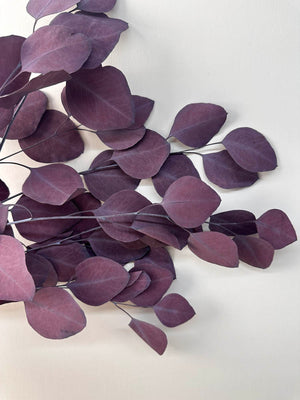 Immortal apple leaves, indoor flower arrangement, wedding flower, home decoration, wholesale dried flower, -PAMPAS grass wholesale and dried flowers wholesale near me