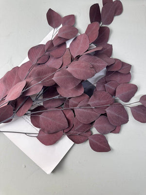 Immortal apple leaves, indoor flower arrangement, wedding flower, home decoration, wholesale dried flower, -PAMPAS grass wholesale and dried flowers wholesale near me