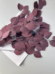 Immortal apple leaves, indoor flower arrangement, wedding flower, home decoration, wholesale dried flower, -PAMPAS grass wholesale and dried flowers wholesale near me