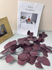 Immortal apple leaves, indoor flower arrangement, wedding flower, home decoration, wholesale dried flower, -PAMPAS grass wholesale and dried flowers wholesale near me