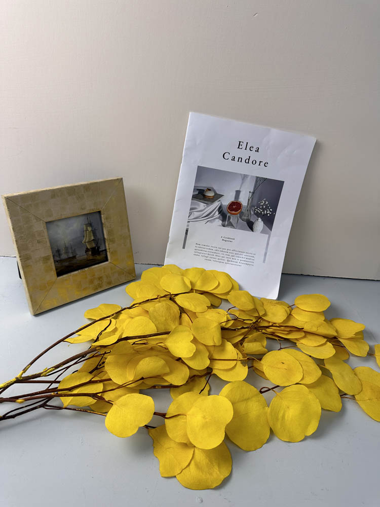 Immortal apple leaves, indoor flower arrangement, wedding dried flower,wholesale natural flower. -PAMPAS grass wholesale and dried flowers wholesale near me