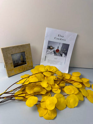 Immortal apple leaves, indoor flower arrangement, wedding dried flower,wholesale natural flower. -PAMPAS grass wholesale and dried flowers wholesale near me