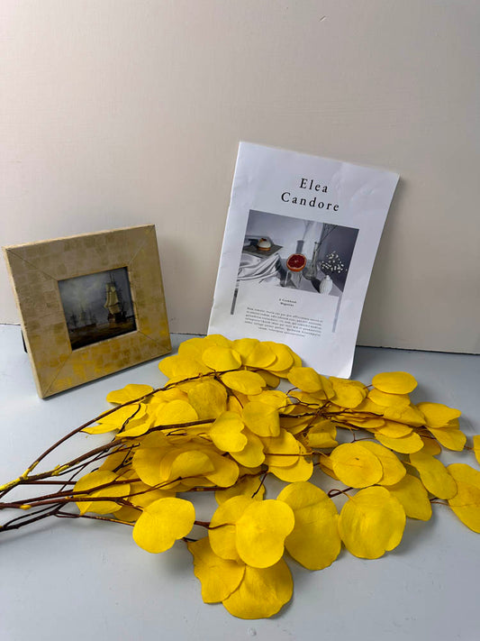 Immortal apple leaves, indoor flower arrangement, wedding dried flower,wholesale natural flower. -PAMPAS grass wholesale and dried flowers wholesale near me