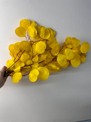 Immortal apple leaves, indoor flower arrangement, wedding dried flower,wholesale natural flower. -PAMPAS grass wholesale and dried flowers wholesale near me