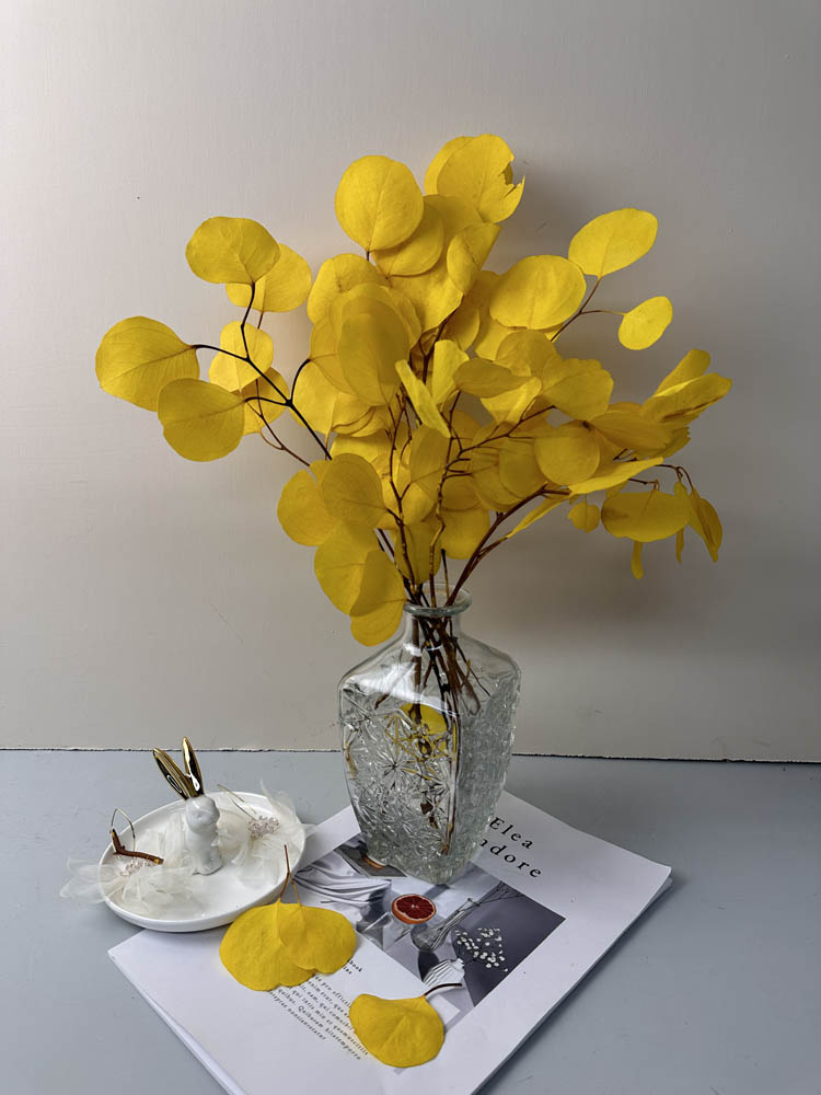 Immortal apple leaves, indoor flower arrangement, wedding dried flower,wholesale natural flower. -PAMPAS grass wholesale and dried flowers wholesale near me