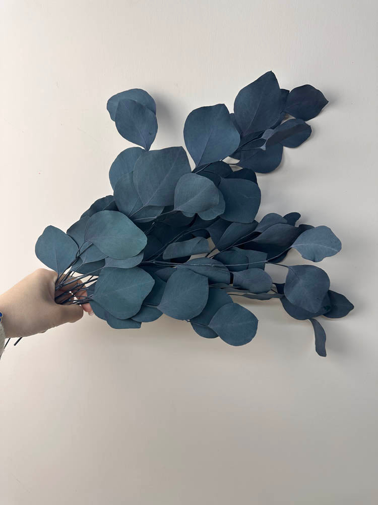 Immortal apple leaves, indoor flower arrangement, wedding greening, dry greening -PAMPAS grass wholesale and dried flowers wholesale near me