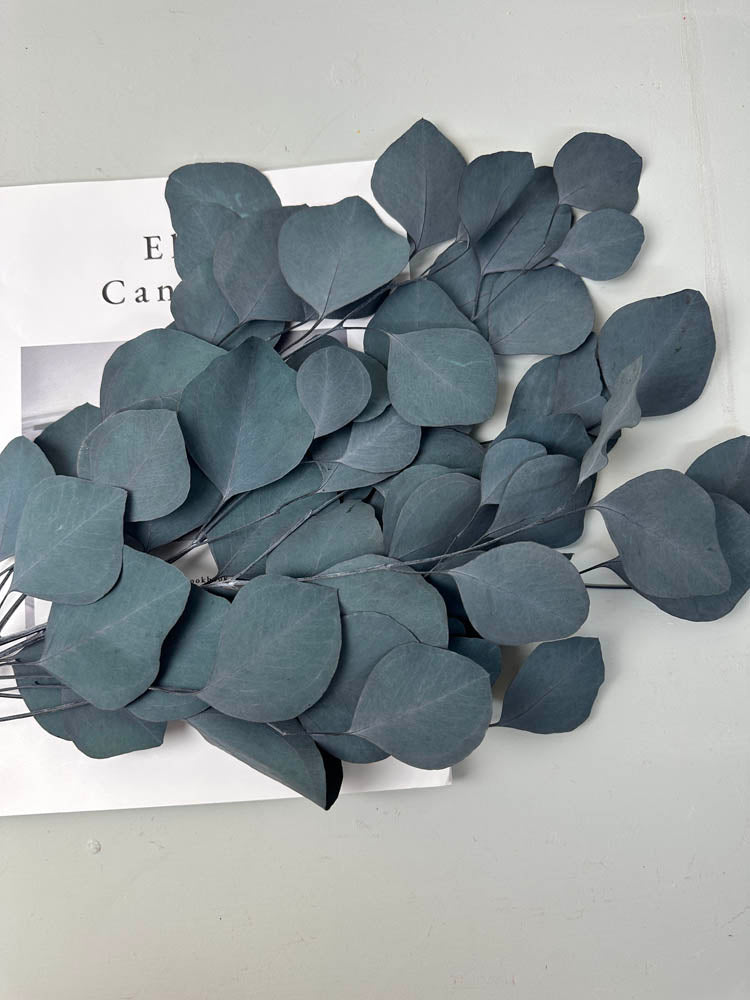 Immortal apple leaves, indoor flower arrangement, wedding greening, dry greening -PAMPAS grass wholesale and dried flowers wholesale near me