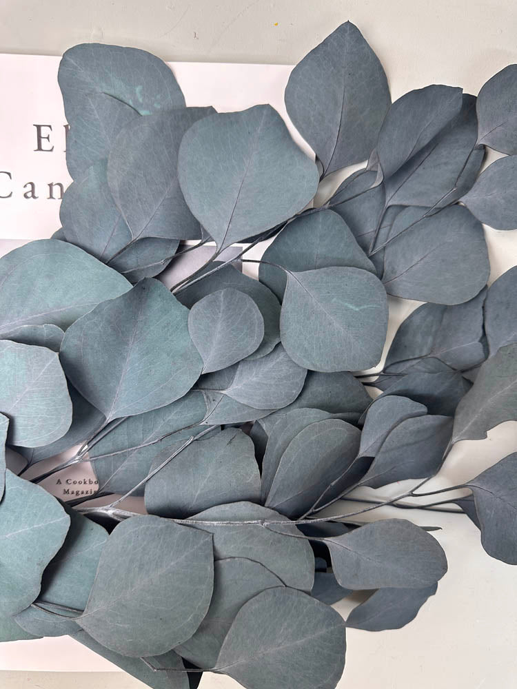 Immortal apple leaves, indoor flower arrangement, wedding greening, dry greening -PAMPAS grass wholesale and dried flowers wholesale near me