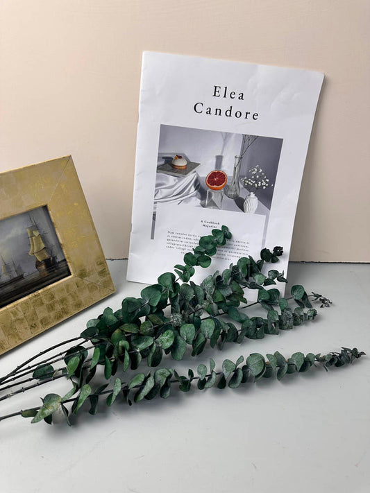 10 Stems High Quality Preserved Green Eucalyptus, DIY Flower Arrangement, Home Wedding Anniversary Decoration -PAMPAS grass wholesale and dried flowers wholesale near me