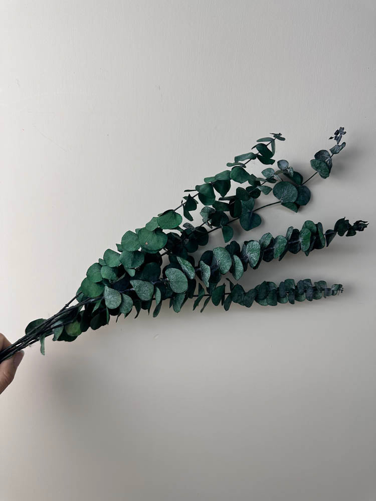 10 Stems High Quality Preserved Green Eucalyptus, DIY Flower Arrangement, Home Wedding Anniversary Decoration -PAMPAS grass wholesale and dried flowers wholesale near me