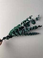 10 Stems High Quality Preserved Green Eucalyptus, DIY Flower Arrangement, Home Wedding Anniversary Decoration -PAMPAS grass wholesale and dried flowers wholesale near me