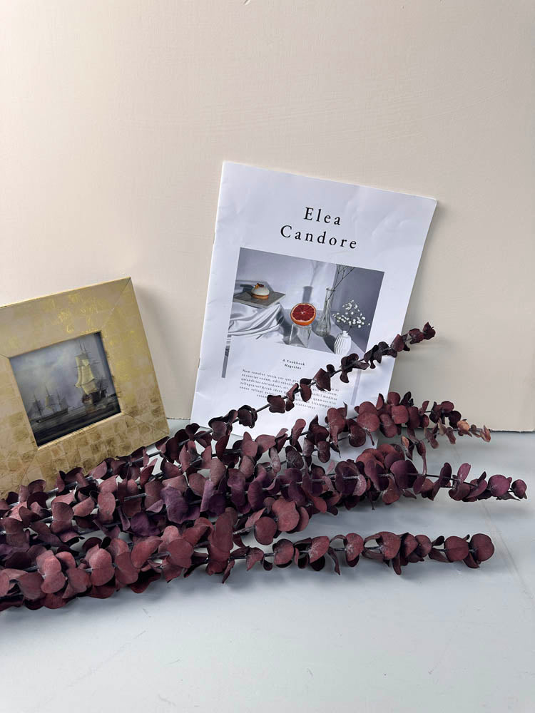 10 Stems High Quality Preserved Red Eucalyptus, DIY Flower Arrangement, Home Wedding Anniversary Decoration -PAMPAS grass wholesale and dried flowers wholesale near me