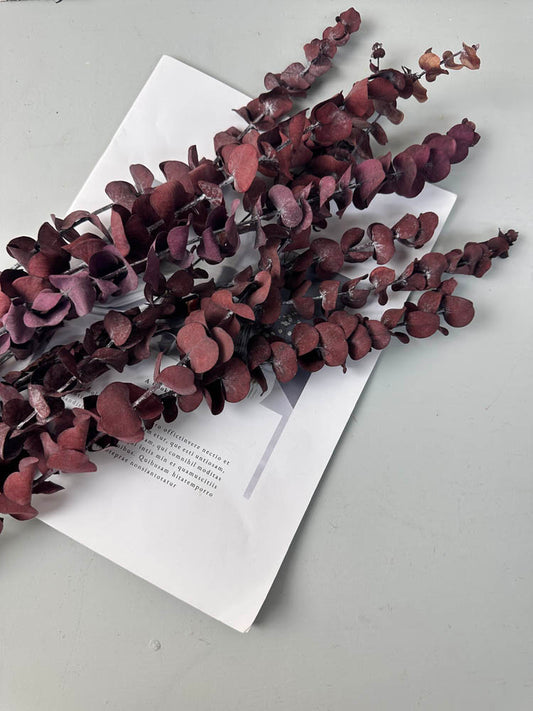 10 Stems High Quality Preserved Red Eucalyptus, DIY Flower Arrangement, Home Wedding Anniversary Decoration -PAMPAS grass wholesale and dried flowers wholesale near me