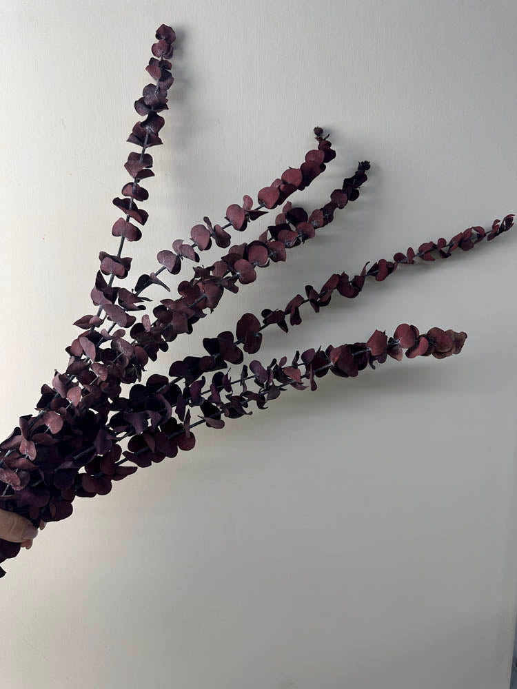 10 Stems High Quality Preserved Red Eucalyptus, DIY Flower Arrangement, Home Wedding Anniversary Decoration -PAMPAS grass wholesale and dried flowers wholesale near me