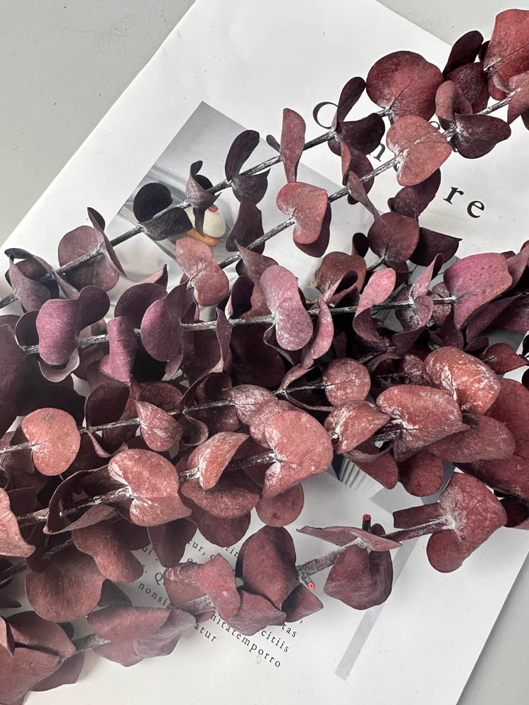 10 Stems High Quality Preserved Red Eucalyptus, DIY Flower Arrangement, Home Wedding Anniversary Decoration -PAMPAS grass wholesale and dried flowers wholesale near me