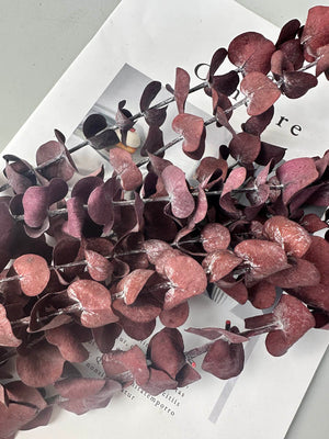 10 Stems High Quality Preserved Red Eucalyptus, DIY Flower Arrangement, Home Wedding Anniversary Decoration -PAMPAS grass wholesale and dried flowers wholesale near me