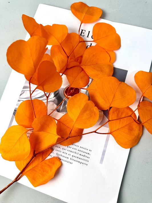 Immortal apple leaves, indoor flower arrangement, wedding flower,ho,e decoration. -PAMPAS grass wholesale and dried flowers wholesale near me