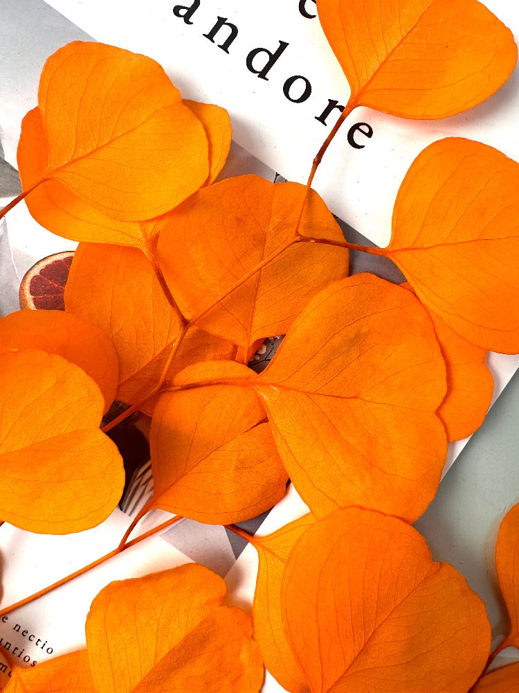 Immortal apple leaves, indoor flower arrangement, wedding flower,ho,e decoration. -PAMPAS grass wholesale and dried flowers wholesale near me