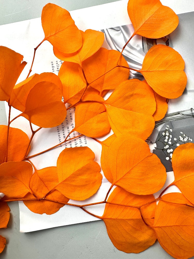 Immortal apple leaves, indoor flower arrangement, wedding flower,ho,e decoration. -PAMPAS grass wholesale and dried flowers wholesale near me