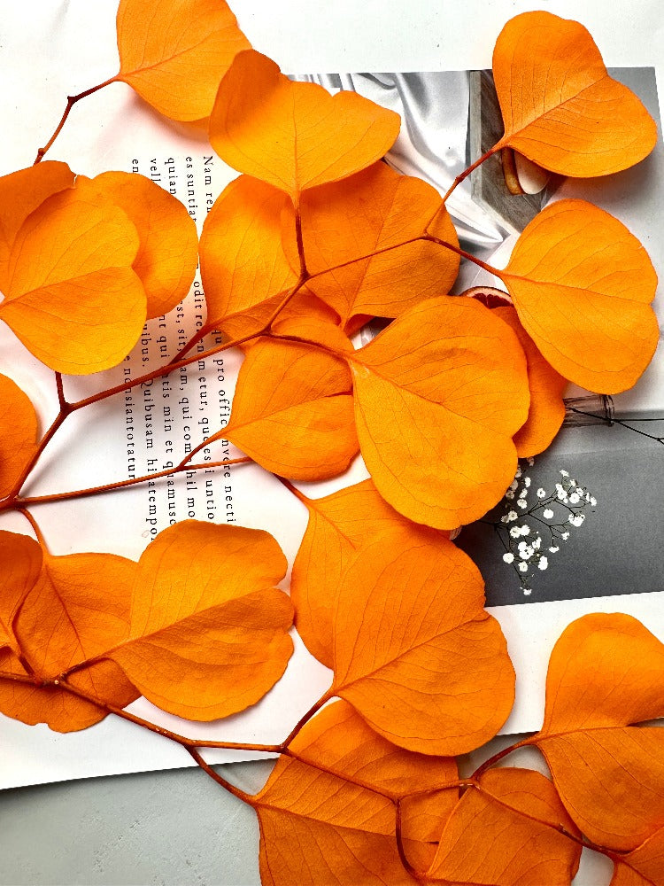 Immortal apple leaves, indoor flower arrangement, wedding flower,ho,e decoration. -PAMPAS grass wholesale and dried flowers wholesale near me