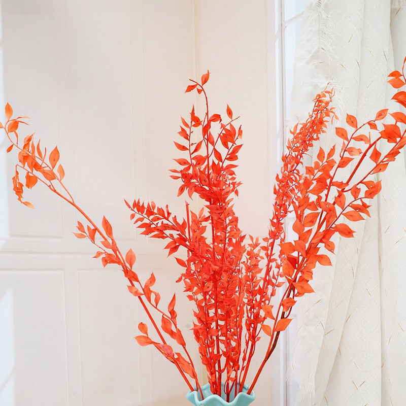 50g Dried Natural Ruscus Leaves Wedding Arrangement Decoration Natural Flowers Dry White Grass Bouquet Home Living Room  Decor. -PAMPAS grass wholesale and dried flowers wholesale near me